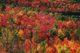 Seastreak Fall Foliage Cruise Comfort Inn Middletown Red Bank A