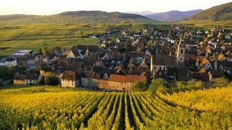Vineyard Buildings Field Alsace Town HD Wallpaper Nature And