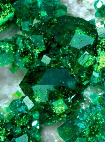 Abigail Schaubert On Green Aesthetic
