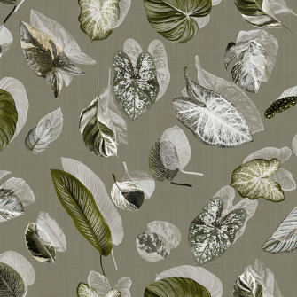 Wallpaper Twins Murals