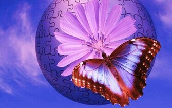 3d Butterfly Puzzle Wallpaper