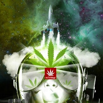 For Marijuana Wallpaper Screensaver Stoner Weed
