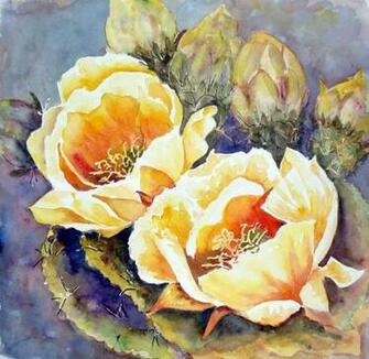 Cactus Flower Watercolor Flowers Of Arizona