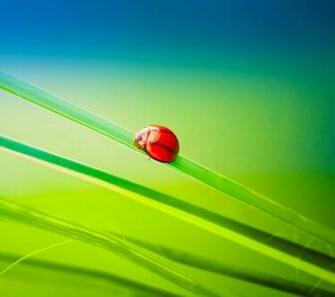Droid Razr M Lady Explorer Wallpaper