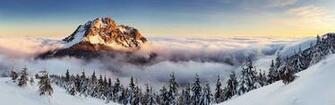 Landscape Mountain Mist Pine Trees Winter Slovakia