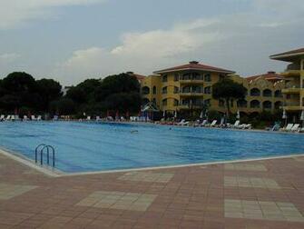 Olympic Swimming Pool Wallpaper Funny Jokes Photos