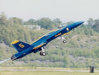 Blue Angel And Thunderbird Wallpaper