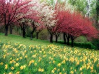 Desktop Wallpaper S 3d Huge Collection Of Amazing High