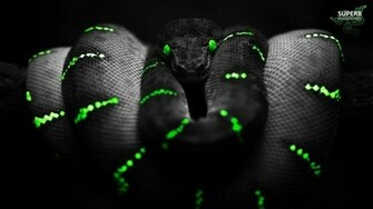 Image For Razer iPhone Wallpaper