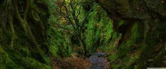 1440p Ultra Wide Wallpaper 52dazhew Gallery