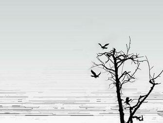 Trees Abstract Birds Silhouette Wallpaper