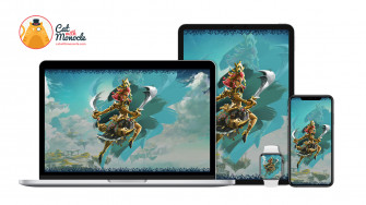 The Legend Of Zelda Tears Kingdom Riju Wallpaper Cat