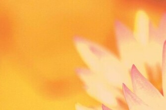 Spiritual Background Path
