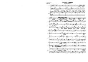 Original Musical Setting Of The Yellow Wallpaper Rationale