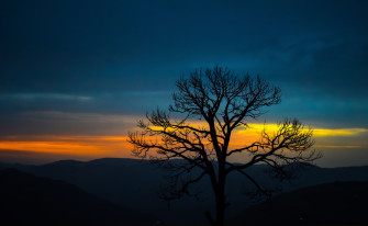 Nature Trees Mountains HD 4k Sunset Forest Wallpaper
