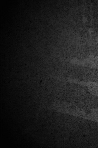 Metallica Snakes Black Album Gadsden Flag Wallpaper
