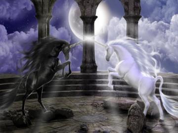 Best Fantasy Horse Wallpaper Image