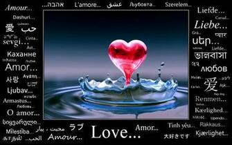 Love Quotes Wallpaper