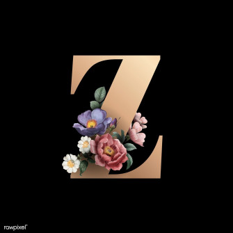 Classic And Elegant Floral Alphabet Font Letter Z Vector