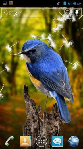 3d Birds Live Wallpaper Android Apps On Google Play