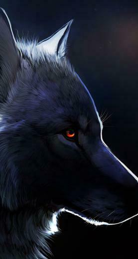 Red Eyed Black Wolf Anime With Eyes Wallpaper