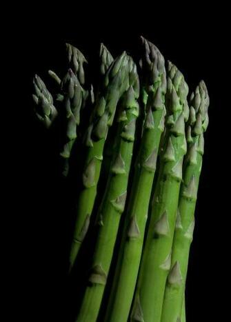 Asparagus On Black Background By Pm Image