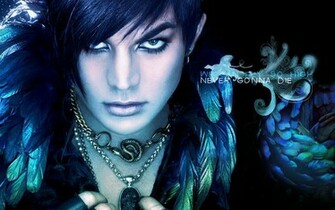 Adam Lambert American Idol Wallpaper
