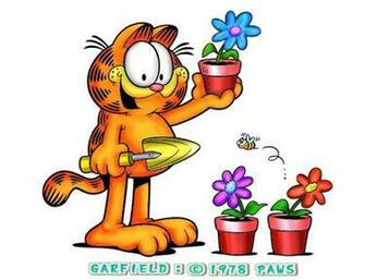Garfield Wallpaper