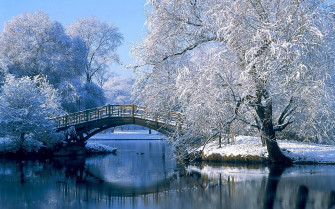 Snow Desktop Wallpaper