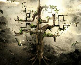 Desktopography Tree House Birds Wallpaper Animals HD