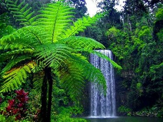 Exotic Place Wallpaper