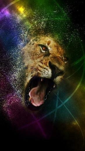 Wallpaper iPhone HD Screen Lion