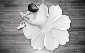 Ballet Desktop Background Image Pictures Becuo