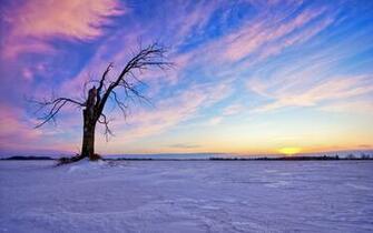 Winter Landscape Desktop Wallpaper On Latoro