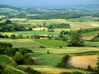 French Countryside