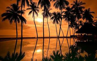 Sunset Hawaii Beach Wallpaper