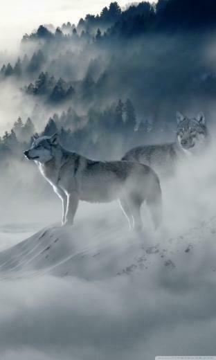 Pack Of Wolves Phone Wallpaper By Princess89