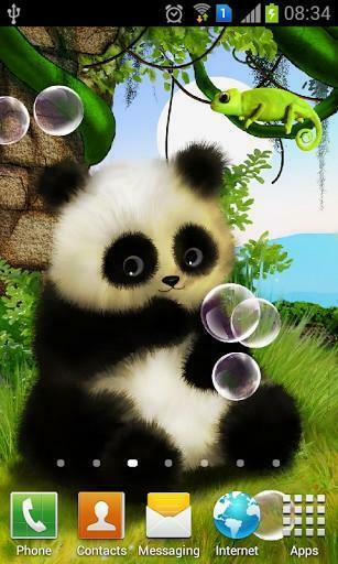 Animated Panda Live Wallpaper For Android By