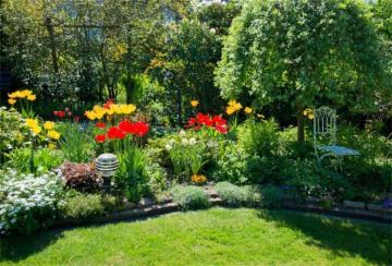Amazon Csfoto Background Backyard Garden With Blossom