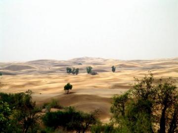 Thar Desert Rajasthan HD Pics Photos Wallpaper
