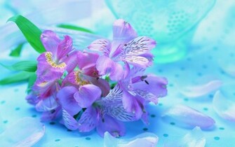 To Wallpaper Just Right Click On Pictures And Select Save