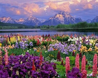Spring Season HD Wallpaper Natural