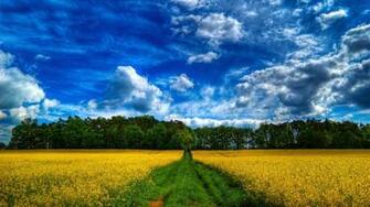 Scenic Wallpaper Background Earth