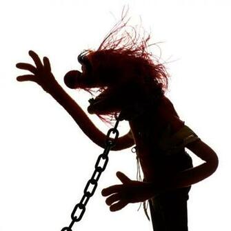 File Wired Muppets Animal Jpg Muppet Wiki