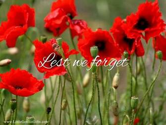 Field Of Remembrance Poppies Apple iPhone Wallpaper