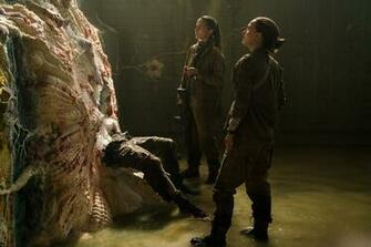 Natalie Portman Image Annihilation Stills HD Wallpaper And