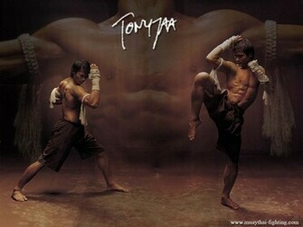 Martial Arts Wallpaper