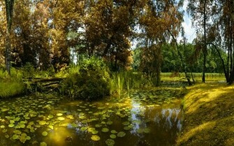 Fantasy Pond Wallpaper