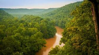 Image Usa Mammoth Cave National Park Nature Parks Forests