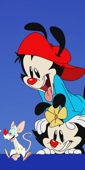 Animaniacs Phone Wallpaper